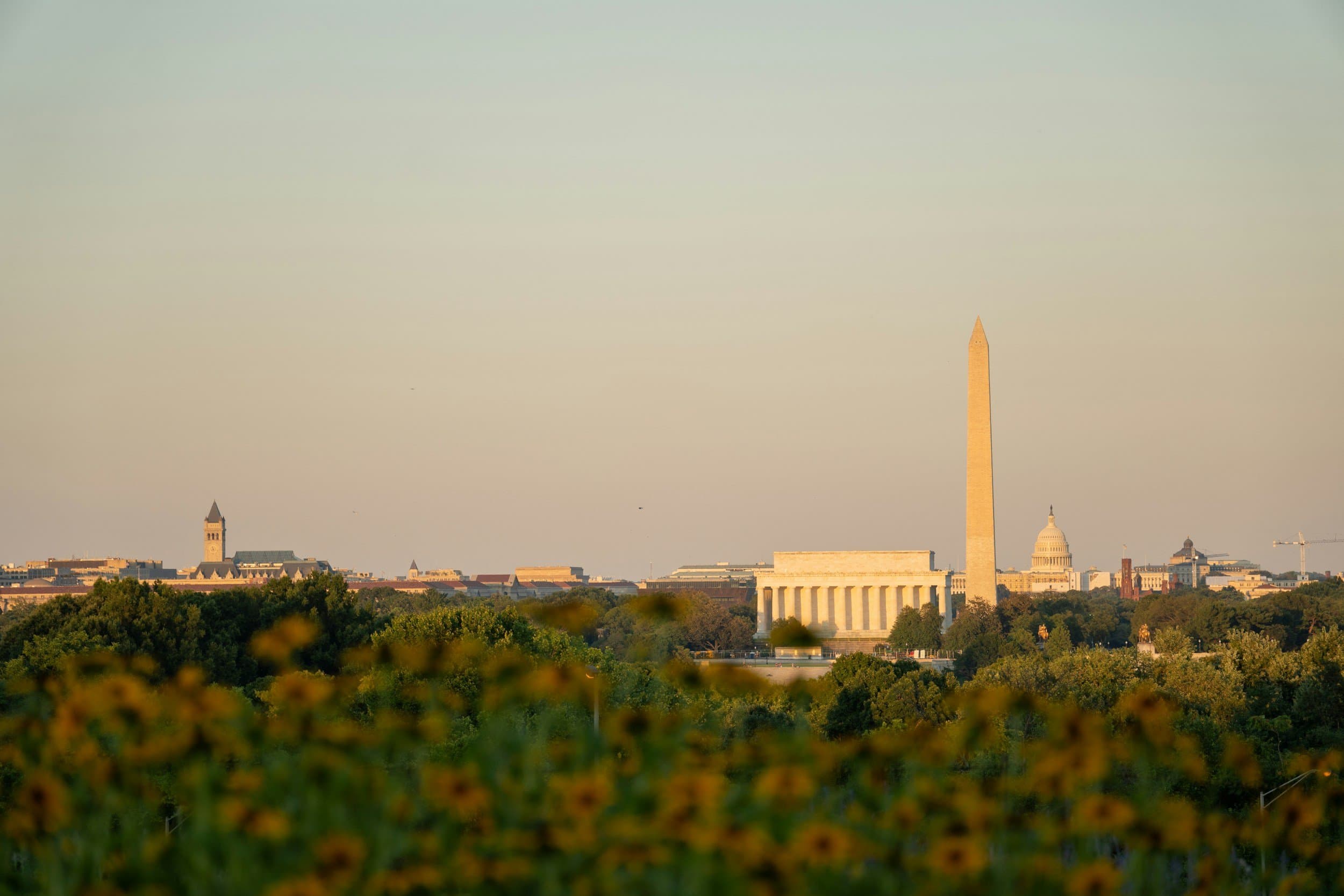 Washington, D.C. skyline